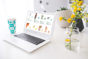 Apprenez l'anglais avec Mischool MD, notre plateforme en ligne